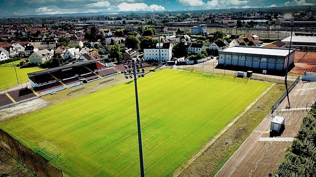 了人们对 了人们对