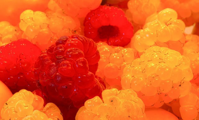 的新政策 的新政策