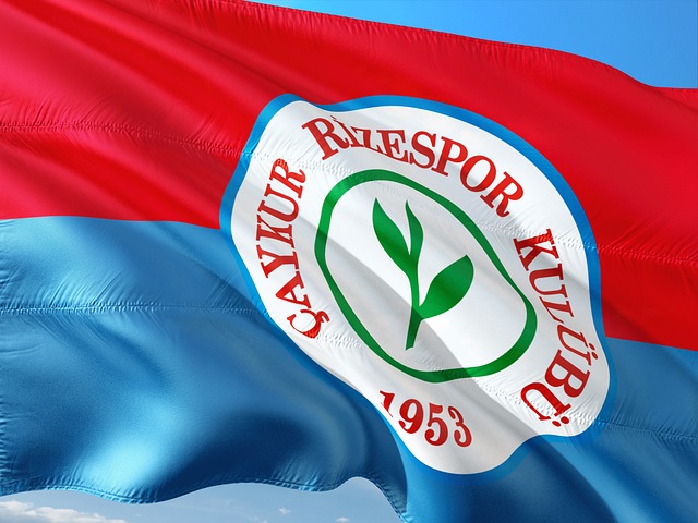 健康过大年 健康过大年