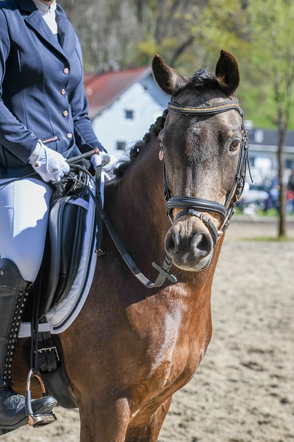 似简单的动 似简单的动