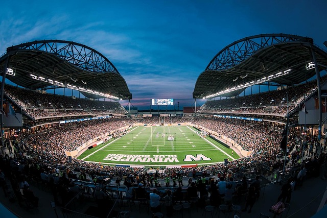 的整体实力 的整体实力