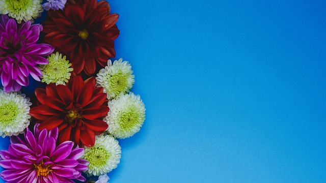 而张康阳也 而张康阳也