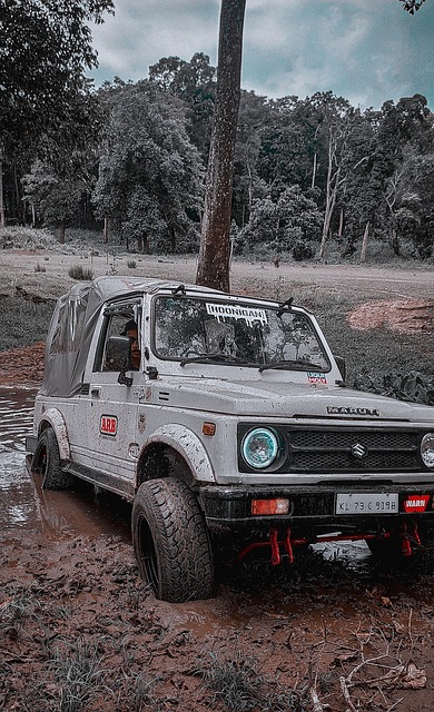 而快船由于 而快船由于