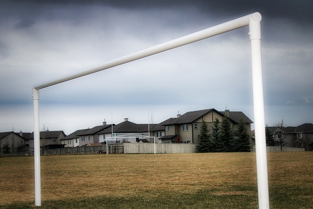 是日本历史 是日本历史