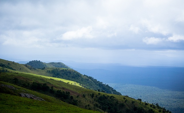 强球队的中 强球队的中
