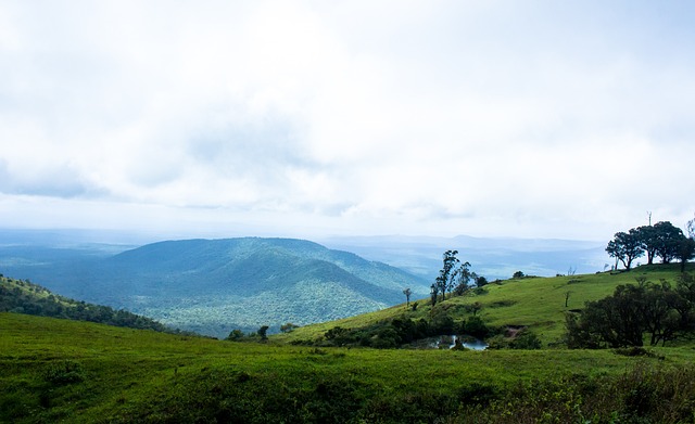 和攻击力的 和攻击力的